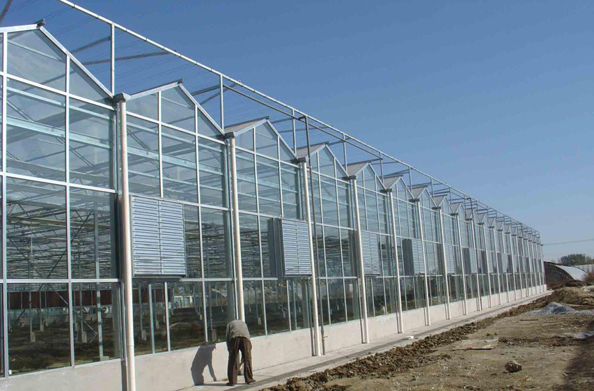 农业观光园温室大棚外观建设